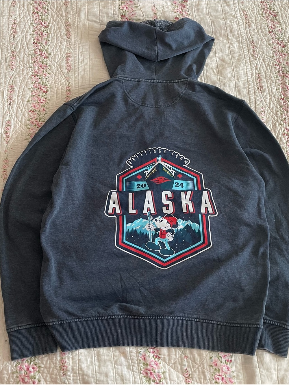 Disney cruise line Alaska zip up hoodie